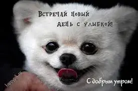 IMG-20200829-WA0004.webp