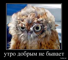 2020-09-01-07-16-00.webp