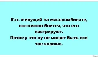 7183701474da20d8afc0587be8b210c6.webp