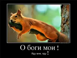 image (7).webp