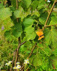 20200903_105635.webp