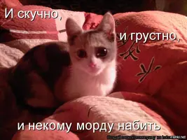 2020-09-04-08-35-40.webp