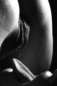 tumblr_nq275zkNwX1szotlko6_500.webp