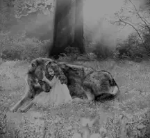 wolf-and-little-girl.webp