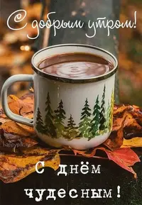 312c51041d5996f649100a245c4816f5.webp