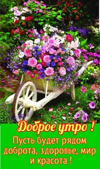 IMG-20200906-WA0002.webp