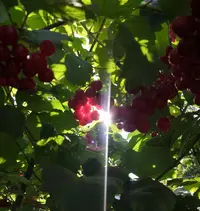 IMG_20200906_105549.webp