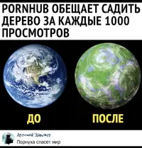 D4318687-83EA-424F-B88F-064E29F2390F.webp