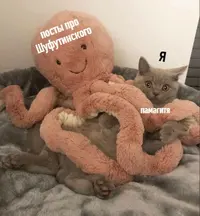 1kWhHZkjpVg.webp