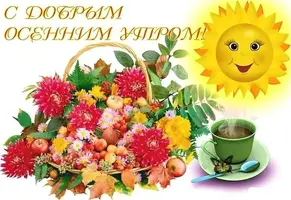 1529224944_1.webp
