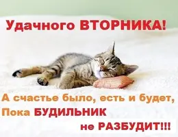 2020-09-08-09-26-13.webp
