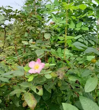 20200908_110058.webp