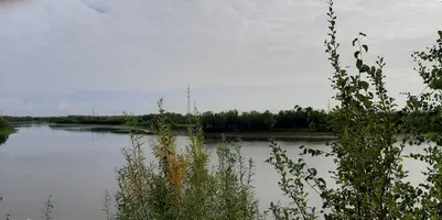 20200908_110116.webp