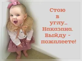 82AEEBCD-42CA-42FA-9916-0D848AF9923C.webp