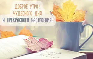 J9zNnR4ubuw.webp