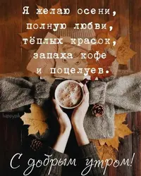 dd9c9a5d36effe30023dd416df2f57d4.webp