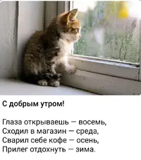 Screenshot_20200909_091618.webp