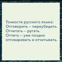 0C2C3137-FA2E-4ED2-A849-DD311E454BBD.webp