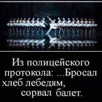 IMG-241c24870ce27bc94407d6b14cbf6d9f-V.webp