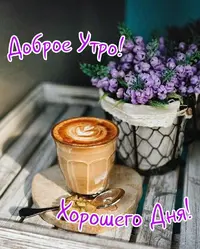 79aaeb6b2f807fd933eab249696acca7.webp