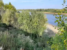 20200910_145442.webp