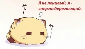 unnamed (14).webp