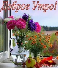 7ccba5c3b520a1388d113d2eee029f4b.webp