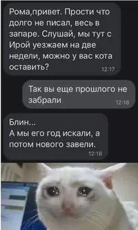 IMG-97cce1b06220fbe30f05f26187656d93-V.webp