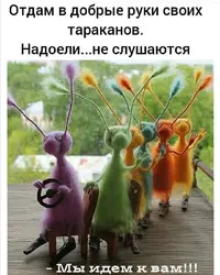 Screenshot_20200911_223849.webp