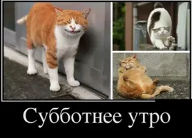 2020-09-12-07-52-00.webp