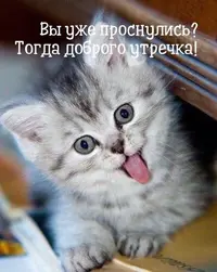 a2cc39716da2c637c304de7f79265489.webp