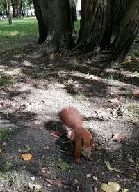 IMG_20200911_221729.webp