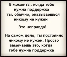 FB_IMG_1599856457208.webp