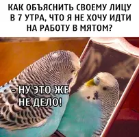 1599813669_podb_02.webp