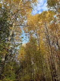 20200913_082412.webp
