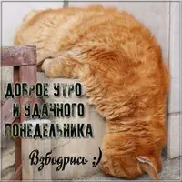 dobroe-outro-oudachnogo-ponedelnika-kartinka-prikolnaya.webp