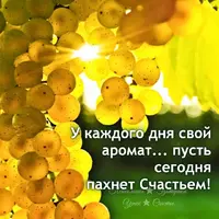 IMG-20200914-WA0003.webp