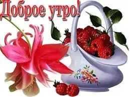 d6f1fc6528580f41f8151ff2ce9e79c1.webp