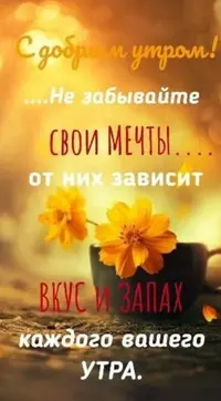 cc81e7c06f8df0e19e24d526d2a3ac4e.webp