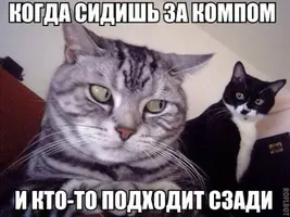 201603140013-kogda-sidish-za-kompom-i-kto-to-podhodit-szadi-kashamalasha-com.webp