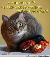 i-27162.webp