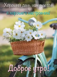 IMG-20200917-WA0000.webp