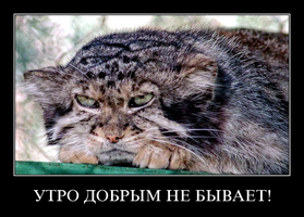 image (5).webp