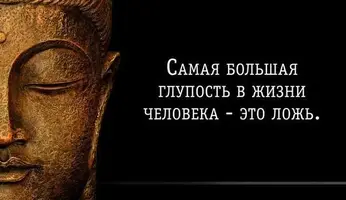 vzoVMO-hkfk.webp