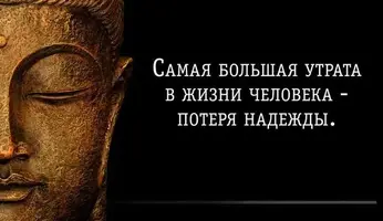 1qLm4-CHsWI.webp