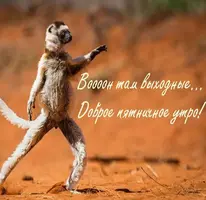 dobroe-outro-pyatnitsy-kartinka-prikolnaya-smeshnaya.webp