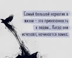 kk5oleILrBc.webp