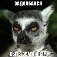 unnamed (1).webp