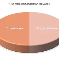 _volosatayfolga__20200918_4.webp