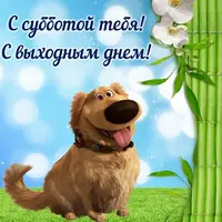 1564294449_11.webp